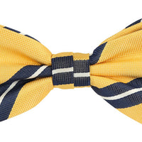 JALSTRIPEB James Adelin Luxury Pre Tied Bow Tie Regimental Stripe