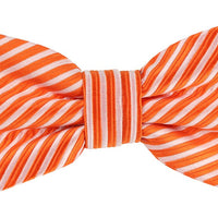 JASSTRIPEB James Adelin Luxury Pre Tied Bow Tie Diagonal Mini Stripe