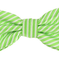 JASSTRIPEB James Adelin Luxury Pre Tied Bow Tie Diagonal Mini Stripe