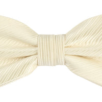 JASSTRIPEB James Adelin Luxury Pre Tied Bow Tie Diagonal Mini Stripe