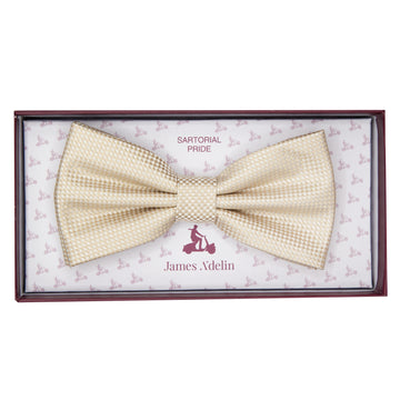 James Adelin Luxury Textured Weave Bow Tie in Beige