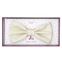 James Adelin Luxury Spotted Stripe Pin Point Textured Weave Bow Tie in Beige