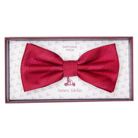 JASPOTTEDSTRIPEB James Adelin Luxury Spotted Stripe Pin Point Textured Weave Pre Tied Bow Tie