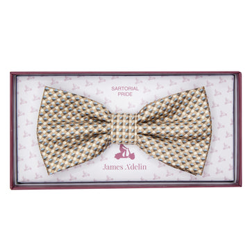 James Adelin Luxury Textured Weave Bow Tie in Beige/Sky