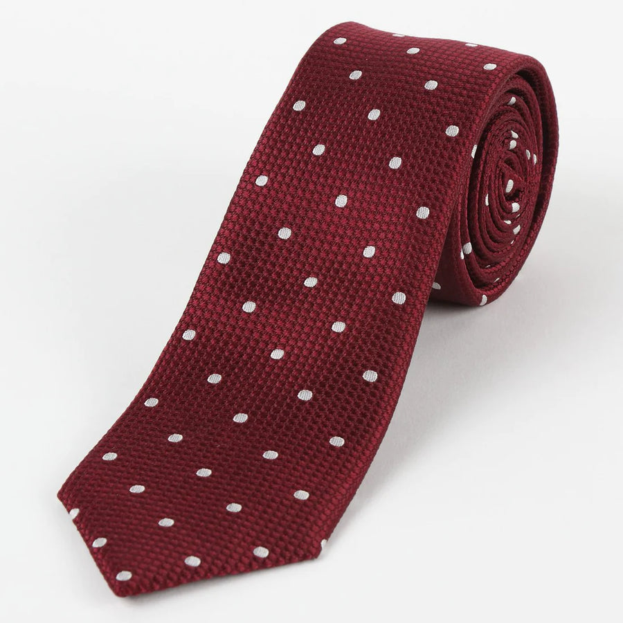 M19546T James Adelin Mens Silk Polka Dot Square Weave Neck Tie