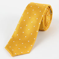 M19546T James Adelin Mens Silk Polka Dot Square Weave Neck Tie