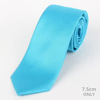 M19548T James Adelin Mens Satin Silk Neck Tie