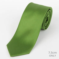 M19548T James Adelin Mens Satin Silk Neck Tie