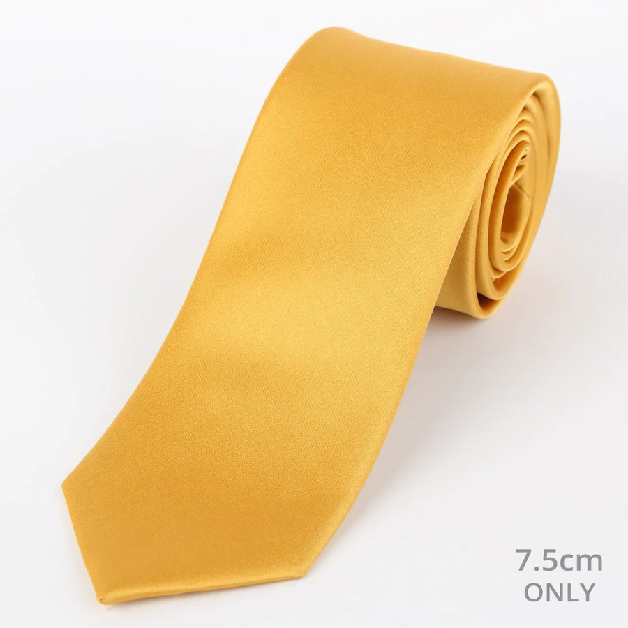 M19548T James Adelin Mens Satin Silk Neck Tie