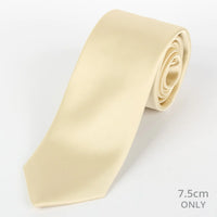 M19548T James Adelin Mens Satin Silk Neck Tie