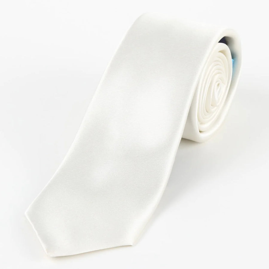 M19548T James Adelin Mens Satin Silk Neck Tie