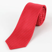 M19550T James Adelin Mens Silk Spotted Textured Weave Neck Tie