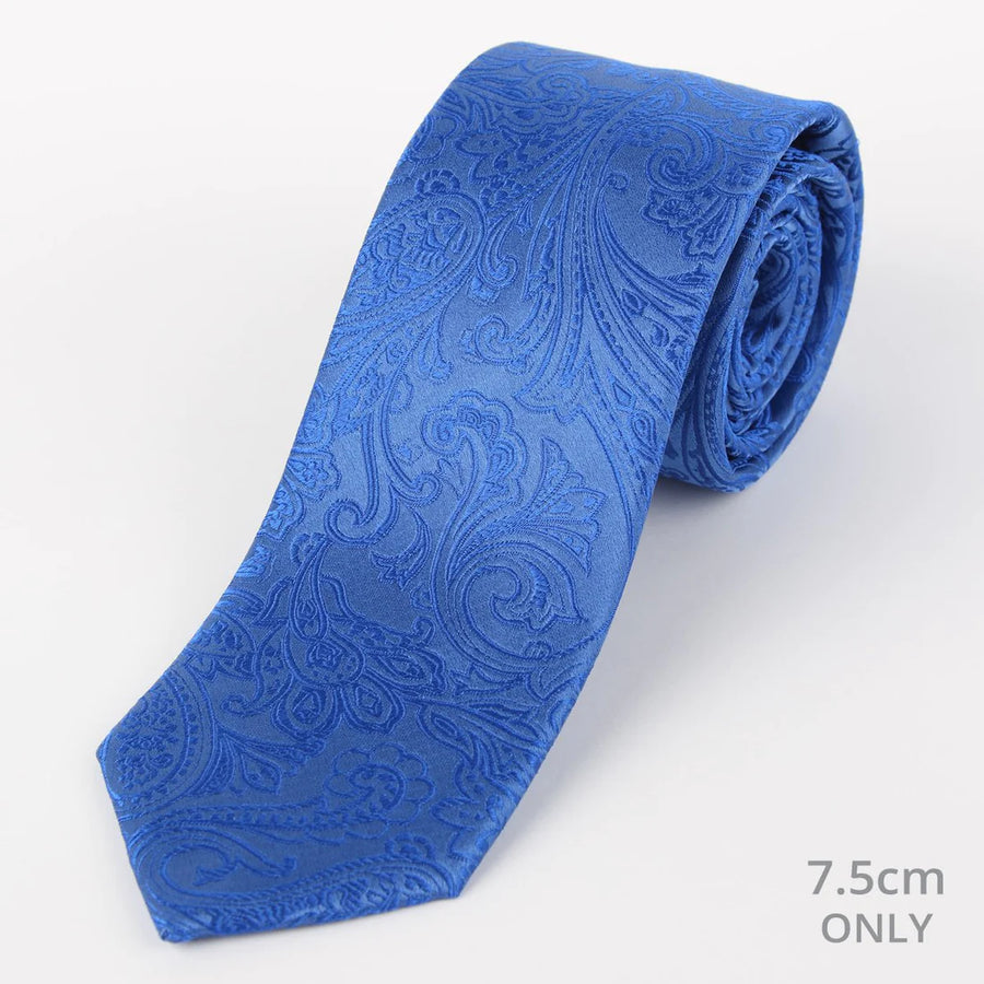 M19555T James Adelin Mens Paisley Silk Neck Tie