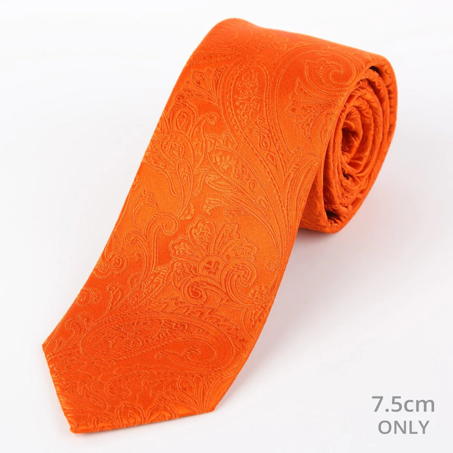 M19555T James Adelin Mens Paisley Silk Neck Tie