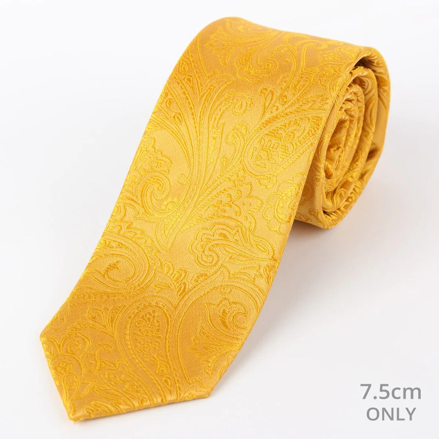 M19555T James Adelin Mens Paisley Silk Neck Tie