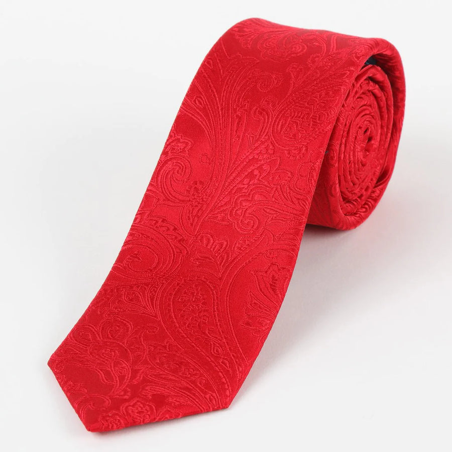 M19555T James Adelin Mens Paisley Silk Neck Tie