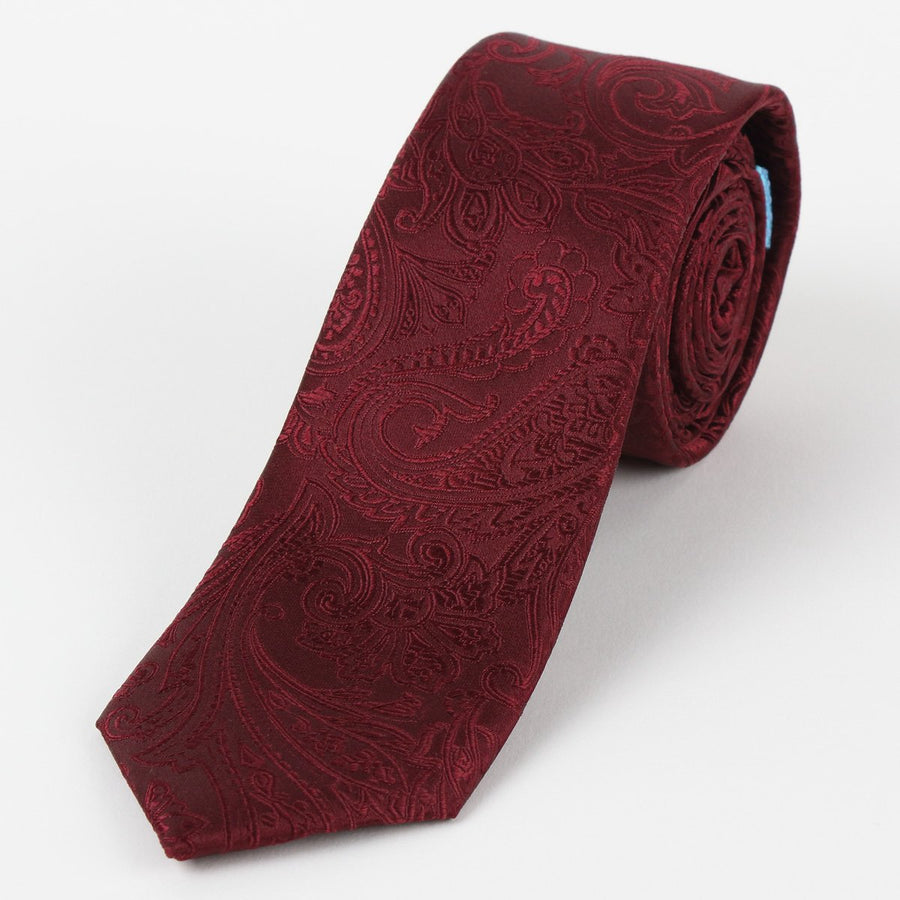 M19555T James Adelin Mens Paisley Silk Neck Tie