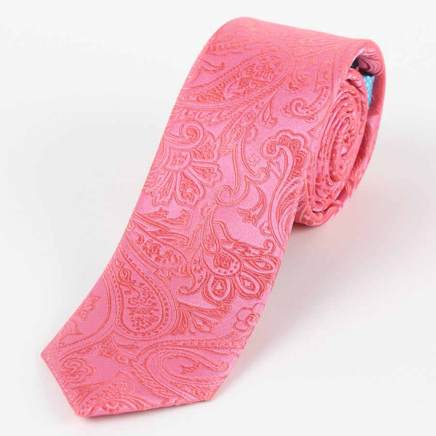 M19555T James Adelin Mens Paisley Silk Neck Tie