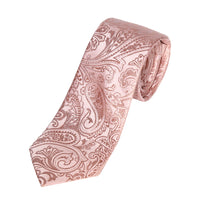 M19555T James Adelin Mens Paisley Silk Neck Tie