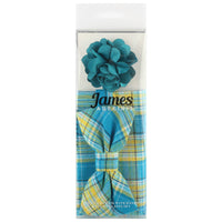 James Adelin Pocket Square, Flower and Bow Tie Combo in Turquoise Check