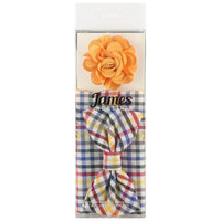 James Adelin Pocket Square, Flower and Bow Tie Combo in Multicolour Mini Check