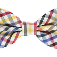 James Adelin Pocket Square, Flower and Bow Tie Combo in Multicolour Mini Check