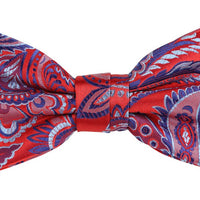 James Adelin Floral Bow Tie in Red, Blue and Silver