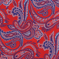 James Adelin Luxury Paisley Pocket Square in Red, Blue and Silver