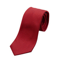 JAGINGHAMT James Adelin Luxury Gingham Textured Weave Neck Tie