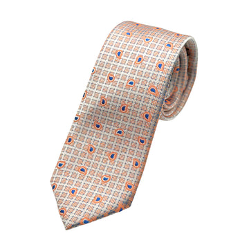 James Adelin Mens Luxury Silk Neck Tie in Paisley Check Weave Design