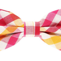 James Adelin Pocket Square, Flower and Bow Tie Combo in Magenta, Gold and White Check